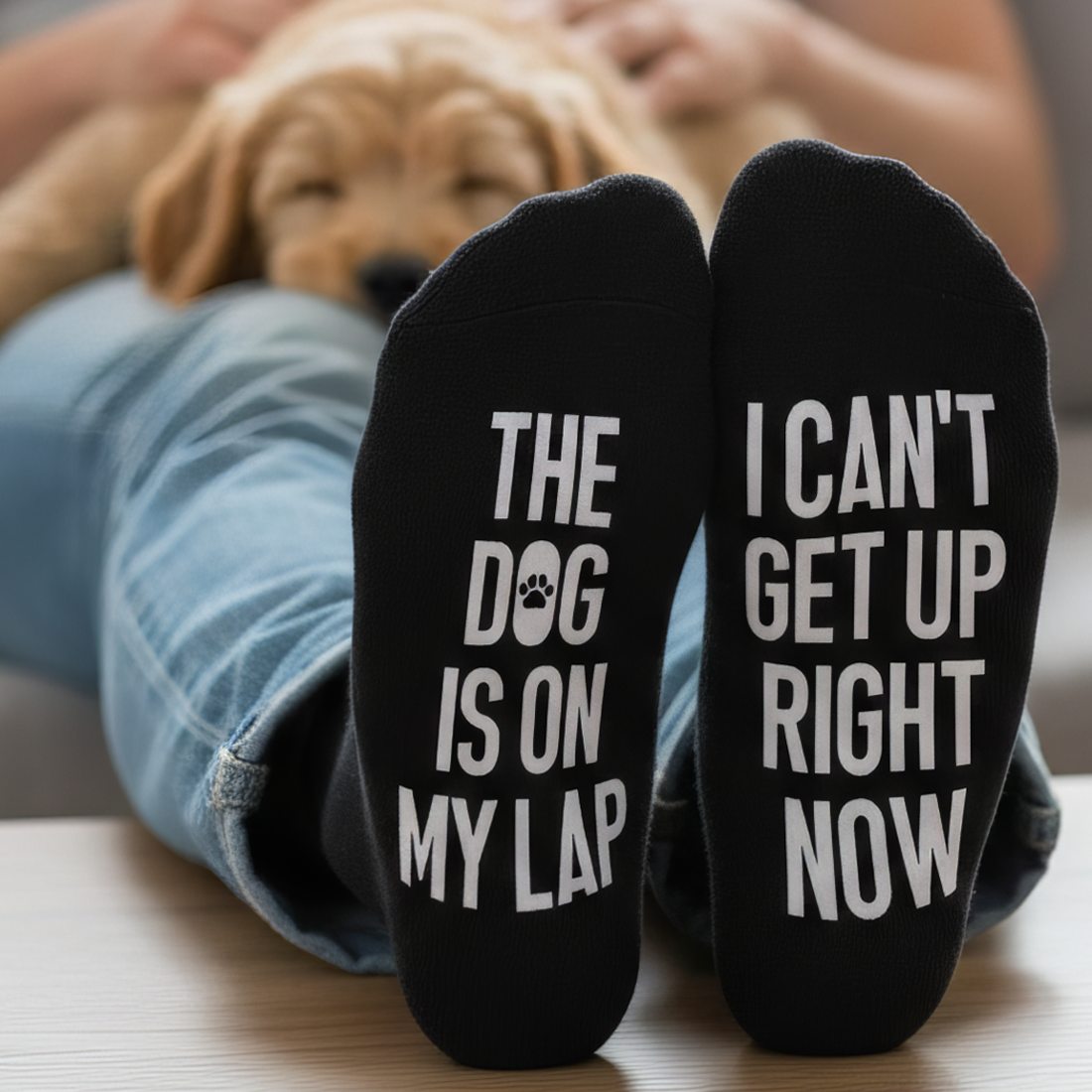 The Dog Is On My Lap I Can't Get Up Right Now - Printed Funny Socks